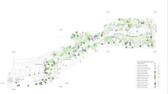 Sendero acceso parque